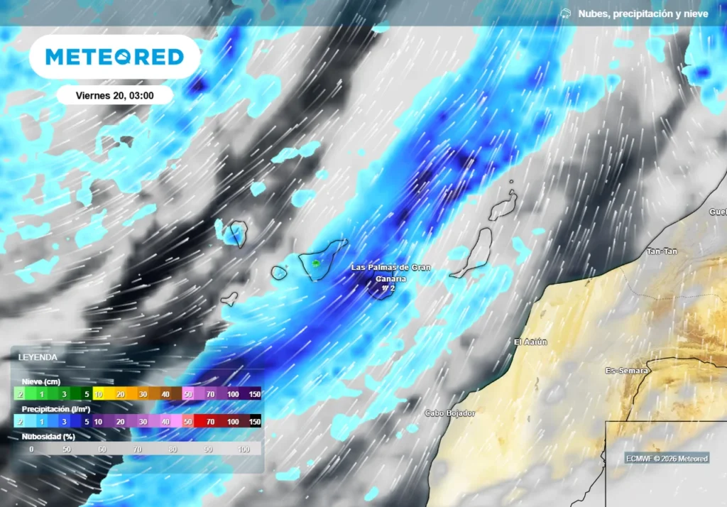 borrasca therese en canarias las lluvias mas fuertes llegaran el viernes hasta 100 l m2 en un dia 1773823703197 1280